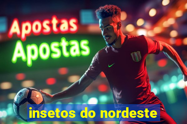 insetos do nordeste